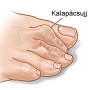 forrás: Ars Mecica magánkórház